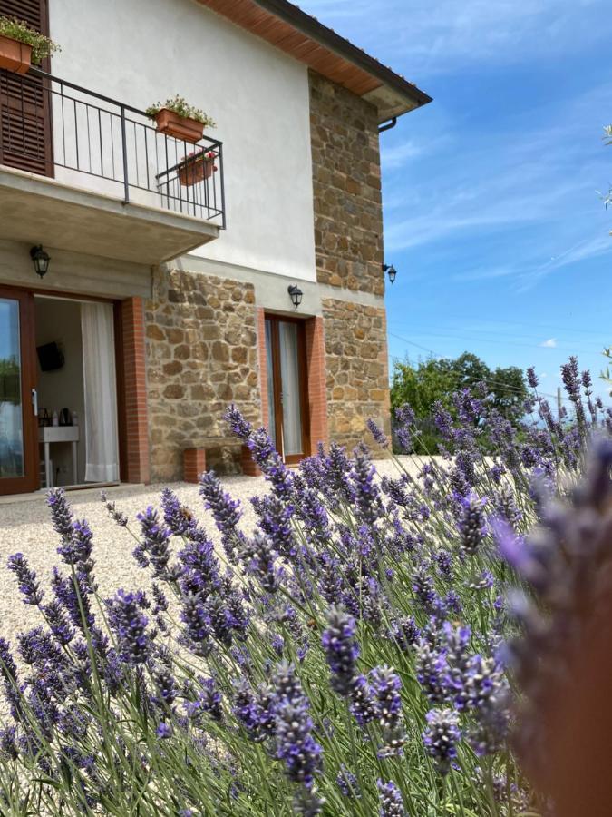 Podere Belsogno Μονταλτσίνο Εξωτερικό φωτογραφία