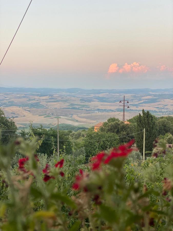 Podere Belsogno Μονταλτσίνο Εξωτερικό φωτογραφία